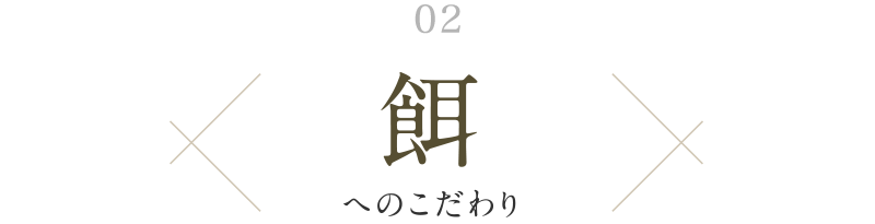 02. 餌へのこだわり